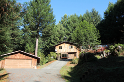 40 Blue Spruce, Eureka